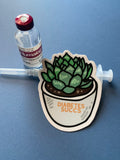 Diabetes Succs Sticker